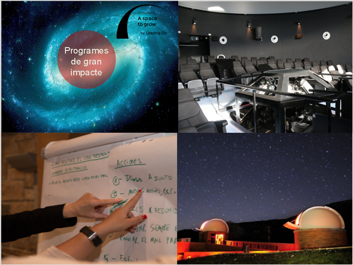 Programes de gran impacte